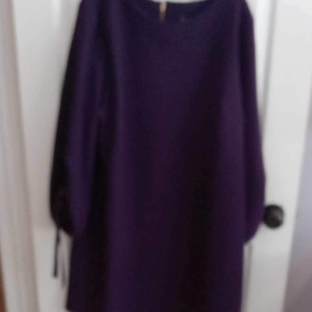MSK Elegant Long Sleeve Dress in Rich Purple